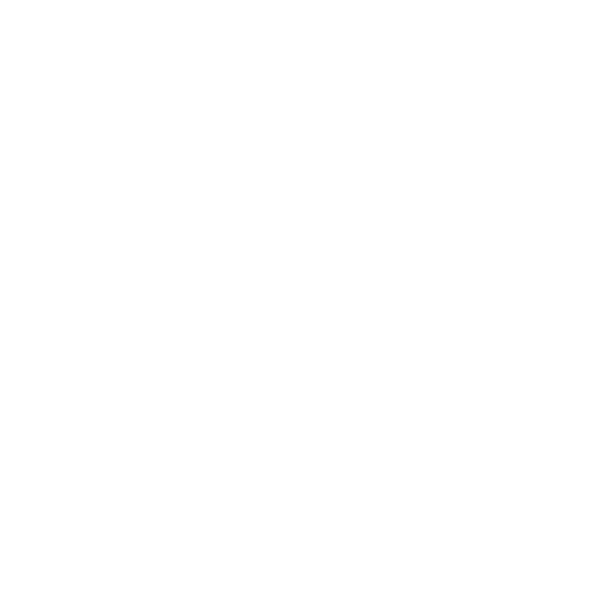 Switch 2 Logo